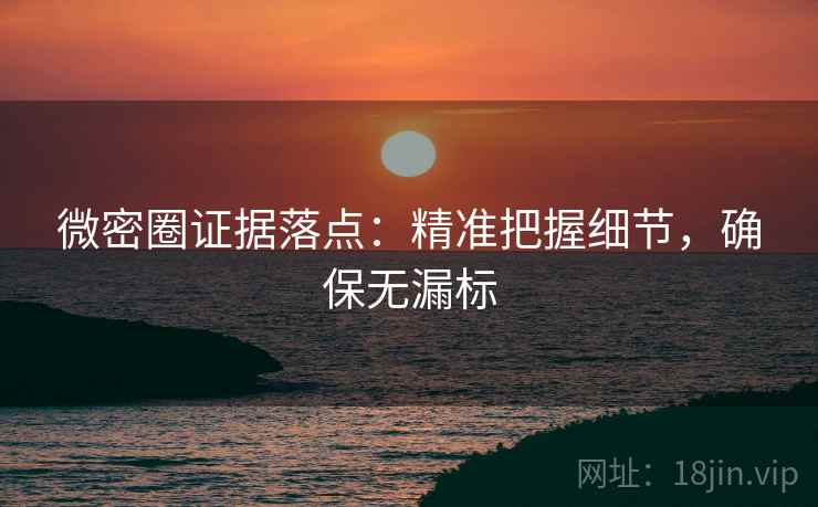 微密圈证据落点：精准把握细节，确保无漏标