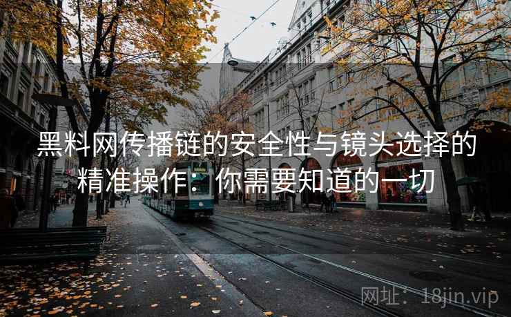 黑料网传播链的安全性与镜头选择的精准操作：你需要知道的一切
